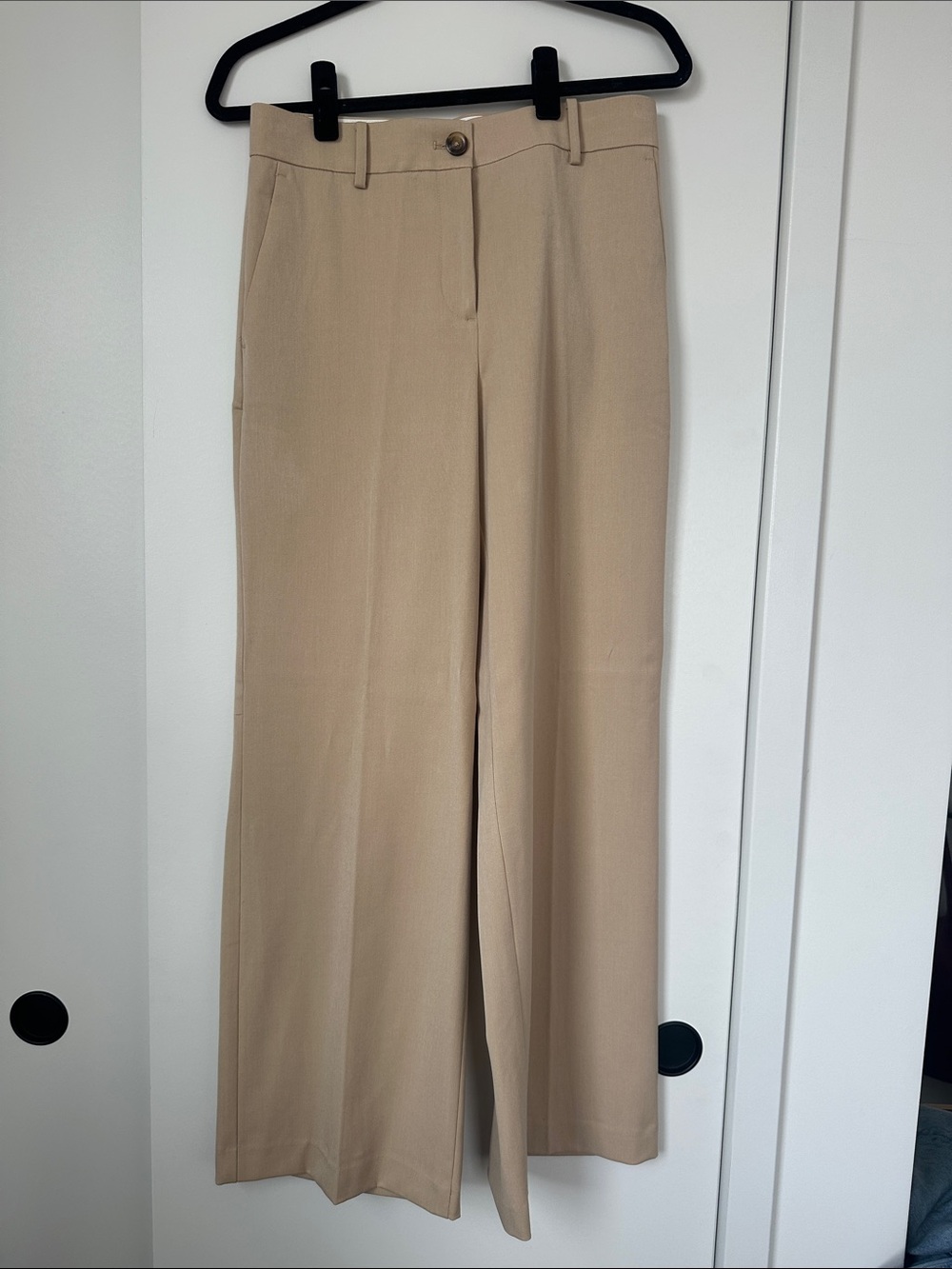Ann Taylor Beige Wide-Leg Dress Pants